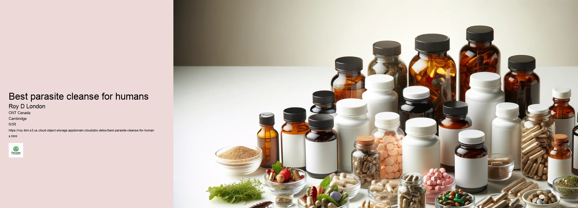 best parasite cleanse for humans