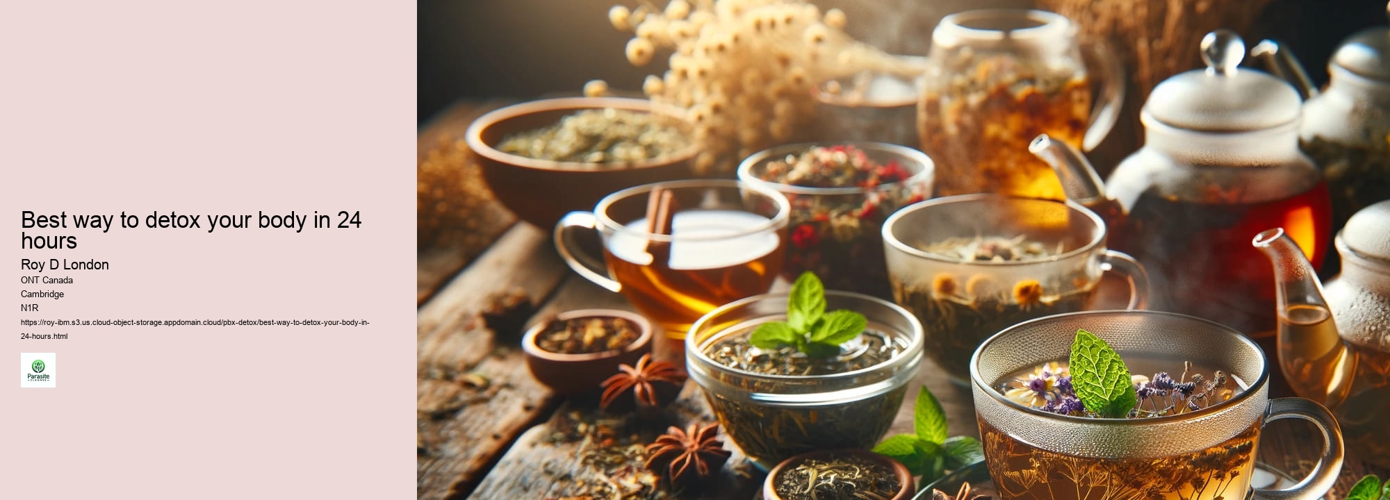 best way to detox your body in 24 hours
