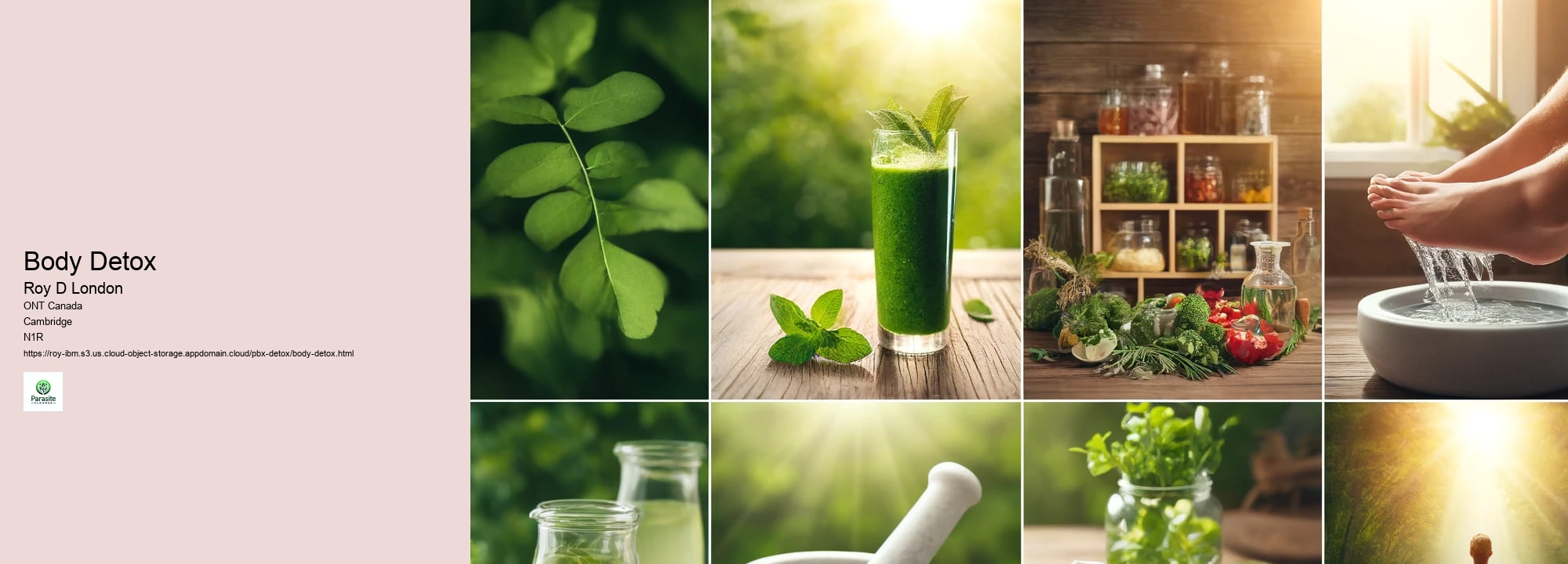 Body Detox