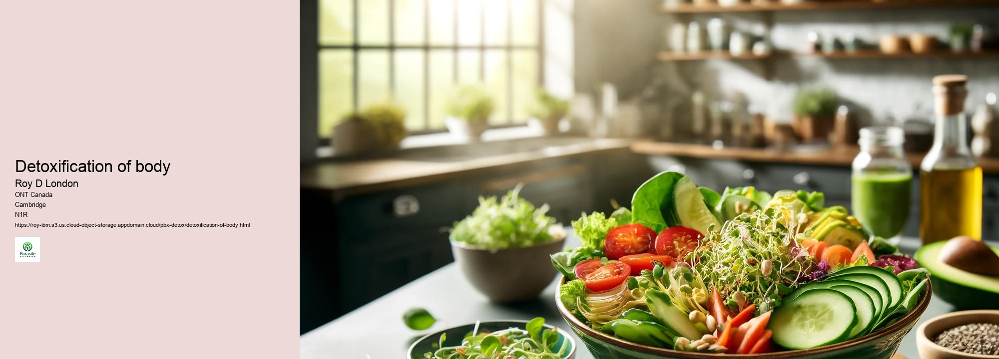 detoxification of body